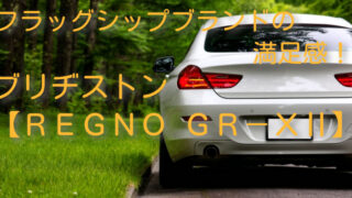 【REGNO GR-XII】グレートバランスで圧倒的なパフォーマンス！価格・評価レビューも